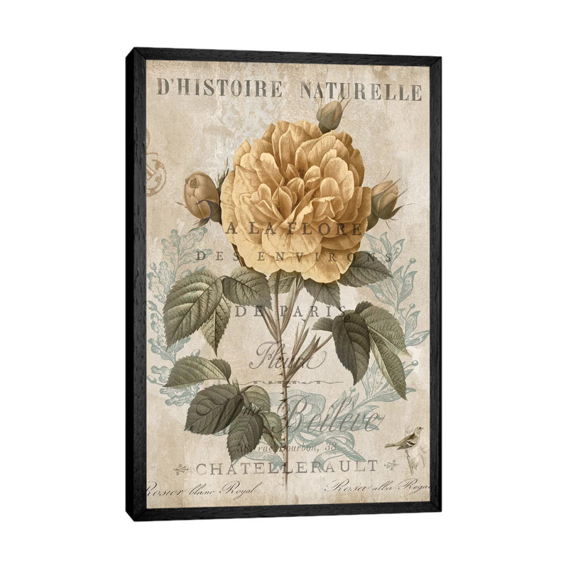 Botanique II by DeeLashee - Print on Canvas, Black Framed, 66.04 cm H x 45.72 cm W