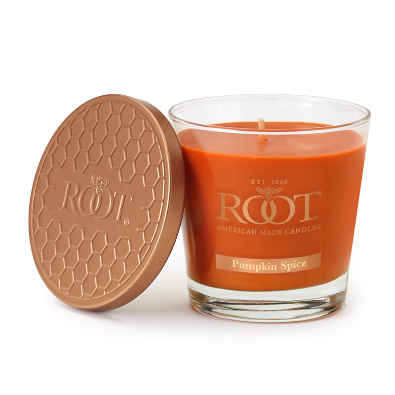 Bougie pot citrouille parfumée aux épices, 6,3 oz