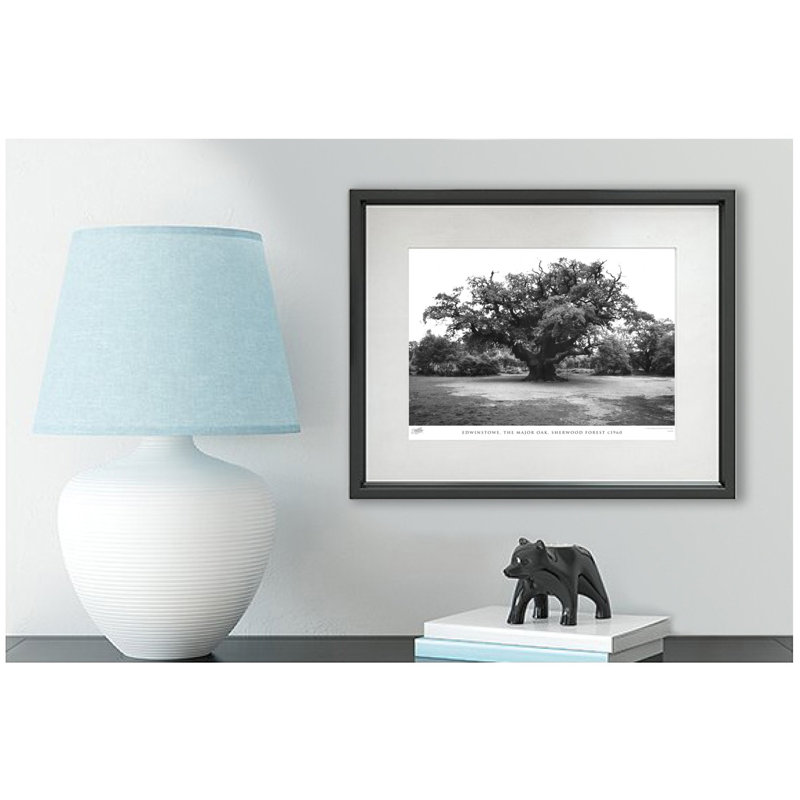 Edwinstowe, The Major Oak, Sherwood Forest C1960 - Single Picture Frame Print, 28cm H x 36cm W x 2.3cm D