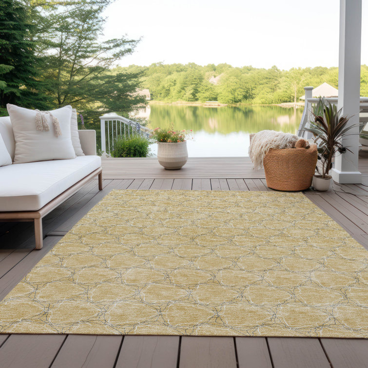  Chayden Area Rug with Non-Slip Backing