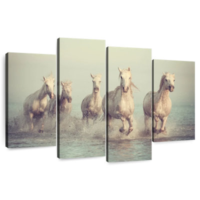 Brampt Camargue chevaux blancs