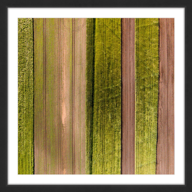 Single Picture Frame Print, 41 cm H x 41 cm W x 3.81 cm D