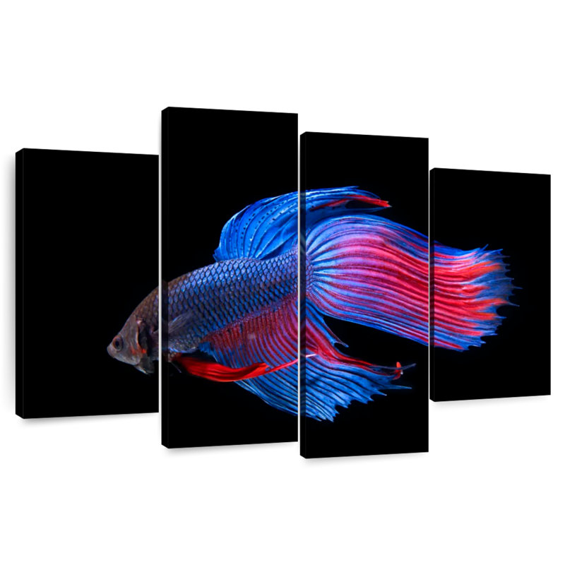 Brampt Glowing Betta Fish