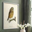 French Owls II, reproduction encadrée - bois massif-1543572063-1543572060