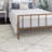 Indoor Rug-1699911204
