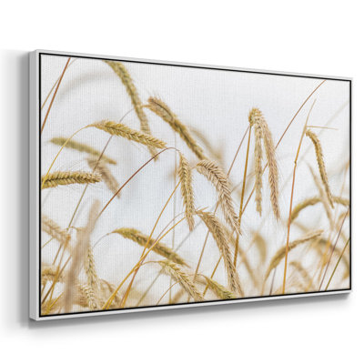 " Wheat "
