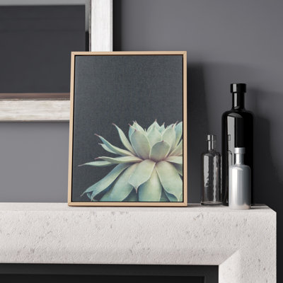 Succulent 8 by Emiko and Mark Franzen F2Images Framed Canvas Wall Art Print