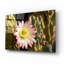 «Night Cactus Bloom Az 8663» par Mike Jones, art mural en verre acrylique, 16 po x 12 po-1146951775