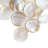 Conchella Penny Natural 11-1/4" x 11-5/8" Natural Shell Mosaic Wall Tile