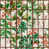 Green/Red/Taupe selected