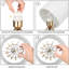 Lampe de table 13,8 po Hakun-1541660405-1541660404