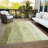 Lavonia Washable Ombre Indoor / Outdoor Rug-1069450714