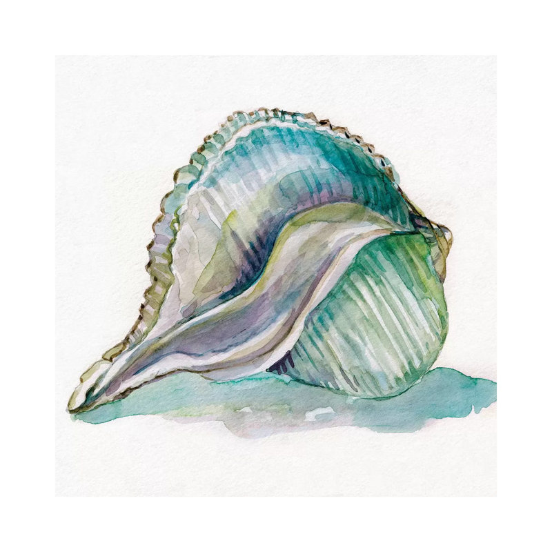 Malecon Shell I by Carol Robinson - Print on Canvas, Wrapped Canvas, 30.48 cm H x 30.48 cm W