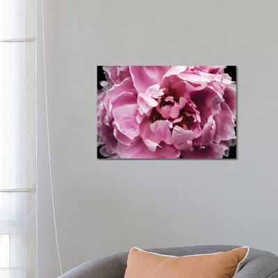 Pink Peony Passion III by Irena Orlov - Wrapped Canvas Print