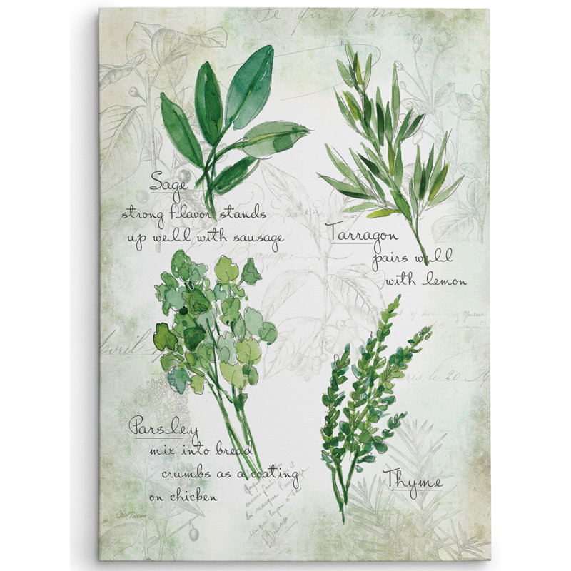 "Premium Herbs II" par Carol Robinson, impression sur toile tendue de qualité supérieure, H 16 po x l 20 po x P 1,5 po