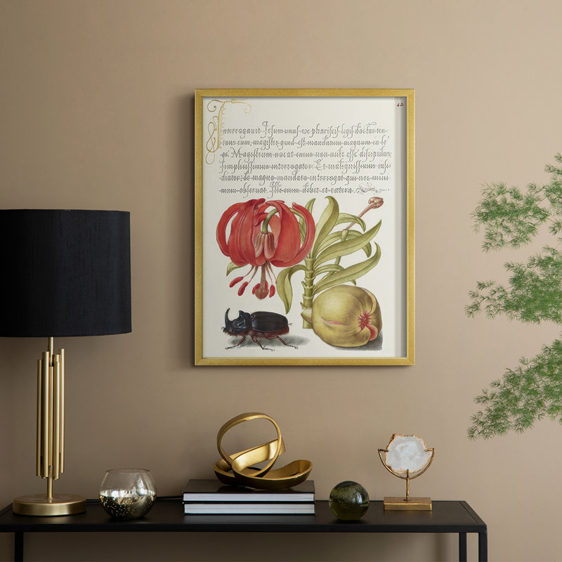 Reproduction encadrée Hoefnagel de spéculations tropicales - bois massif, H 21 po x l 17 po, Doré