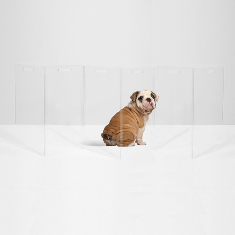 Hiddin Clear Freestanding Tall Zig Zag Pet Gate, 6-Panel