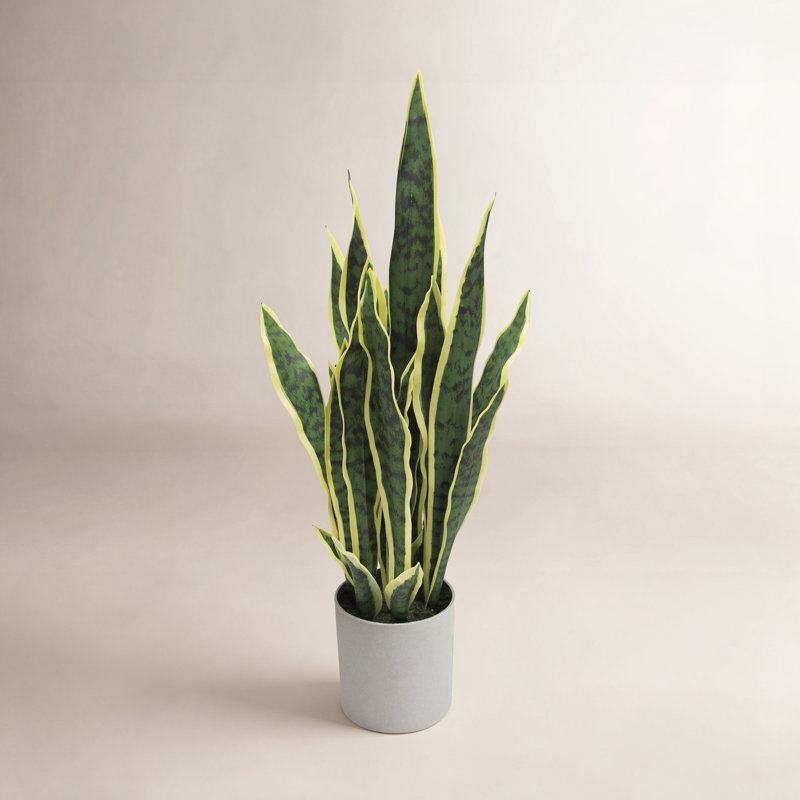 Plante de serpent artificielle Sansevieria en pot, H 25 po x l 11 po x P 11 po