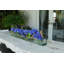 Hydrangeas and Driftwood in Vase