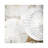 White Shells II-1PC6-97438086