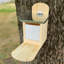Wall Squirrel Feeder