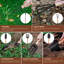 Ensemble d'outils de jardin en acier inoxydable