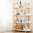 Multifuction Bookcase with Solid Wood Frame,Mix Color Plant Standing for Home Decro -1683155266