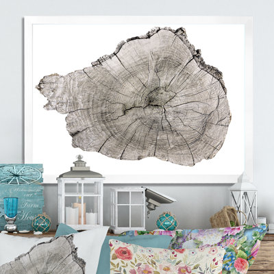 Coupe transversale d'un tronc d'arbre - reproduction sur toile