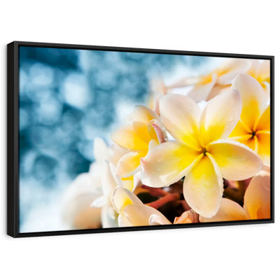 Frangipani Canvas Print
