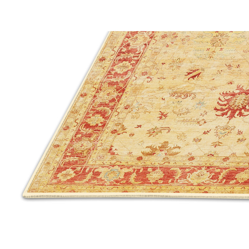 Cardy Oriental Indoor Rug, Rectangle 2' x 4'