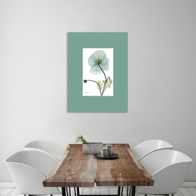 " Iceland Poppy " by Albert Koetsier