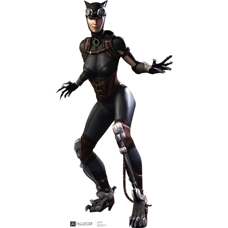 catwoman arkham city costume injustice