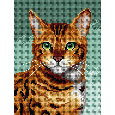 Toile à broder à l'aiguille pour demi-point sans fil Bengal 3362F