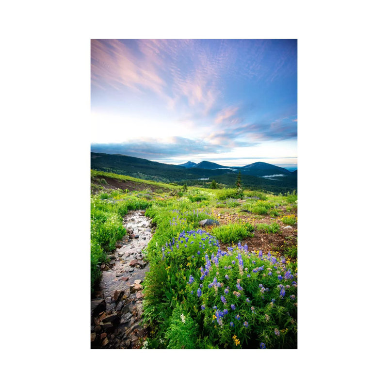 Crested Butte Stream by Dan Ballard - Wrapped Canvas Print, 101.6 cm H x 66.04 cm W x 1.91 cm D