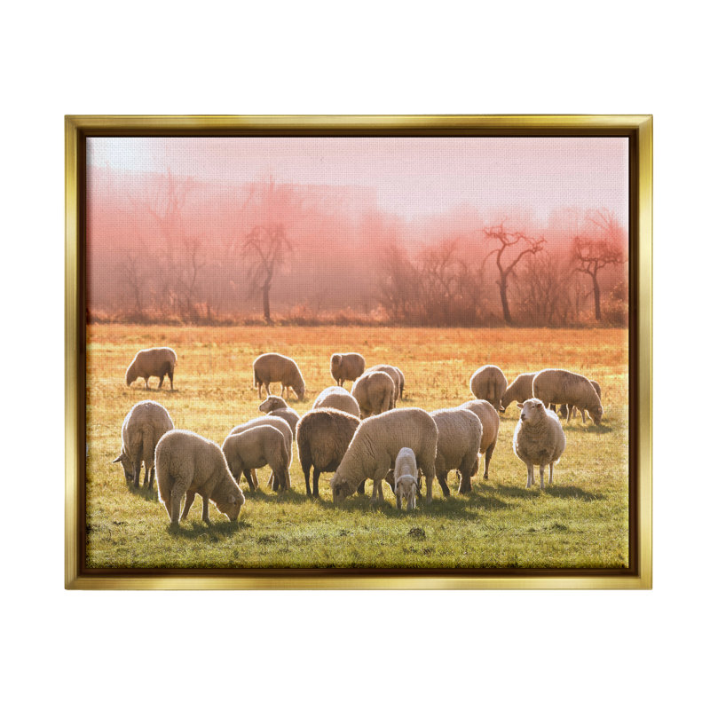 Troupeau de moutons en train de paître au coucher du soleil rose chaud prairie de Daphne Polselli - photographie