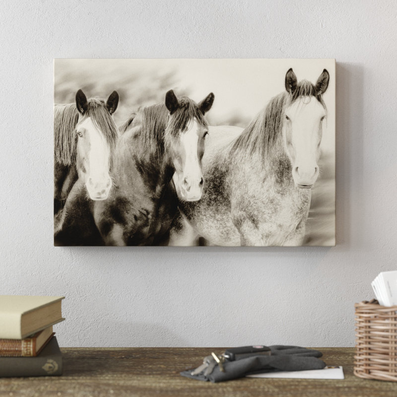 Three Amigos II by PHBurchett - Photograph, 30cm H x 46cm W, Wrapped Canvas