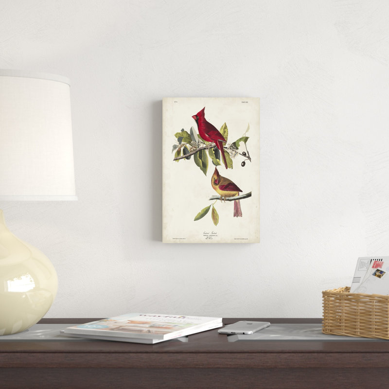Pl 158 Cardinal Grosbeak, H 12 po x l 8 po