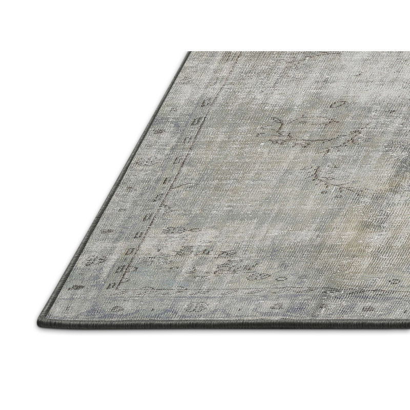 Tapis beige/brun clair traditionnel Cohocton, Rectangle 4 pi x 6 pi