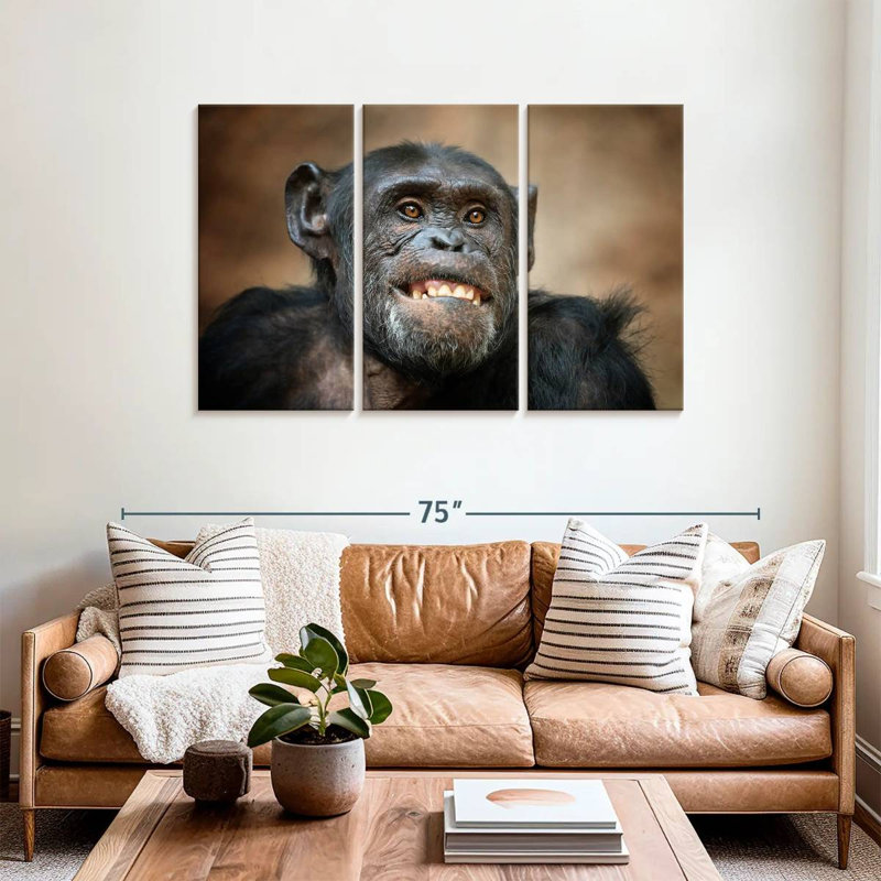 Funny Chimpanzee