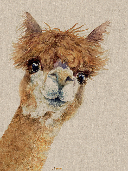 Jane Bannon - Wrapped Canvas Print, 50cm H x 40cm W