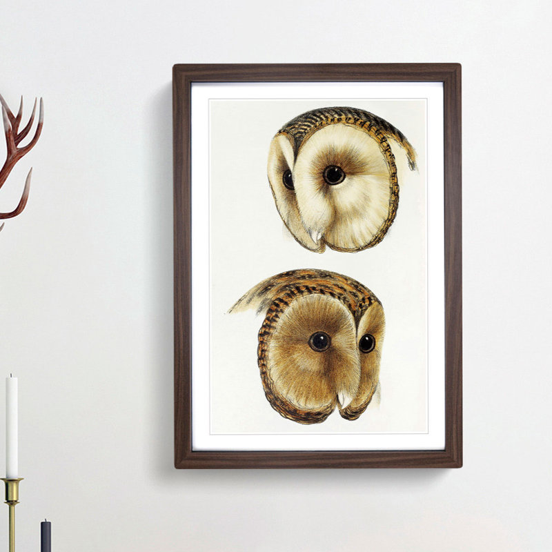 Two Owls by John Gould - Picture Frame Painting Print, 48cm H x 36cm W x 2cm D, Walnut Framed