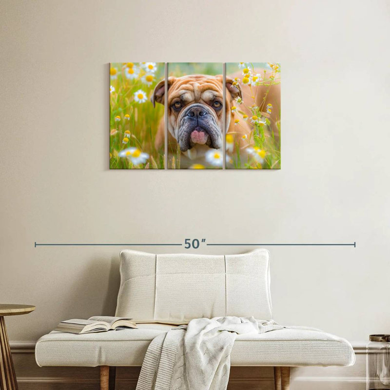 Brampt English Bulldog Playing, 20" H x 33" W