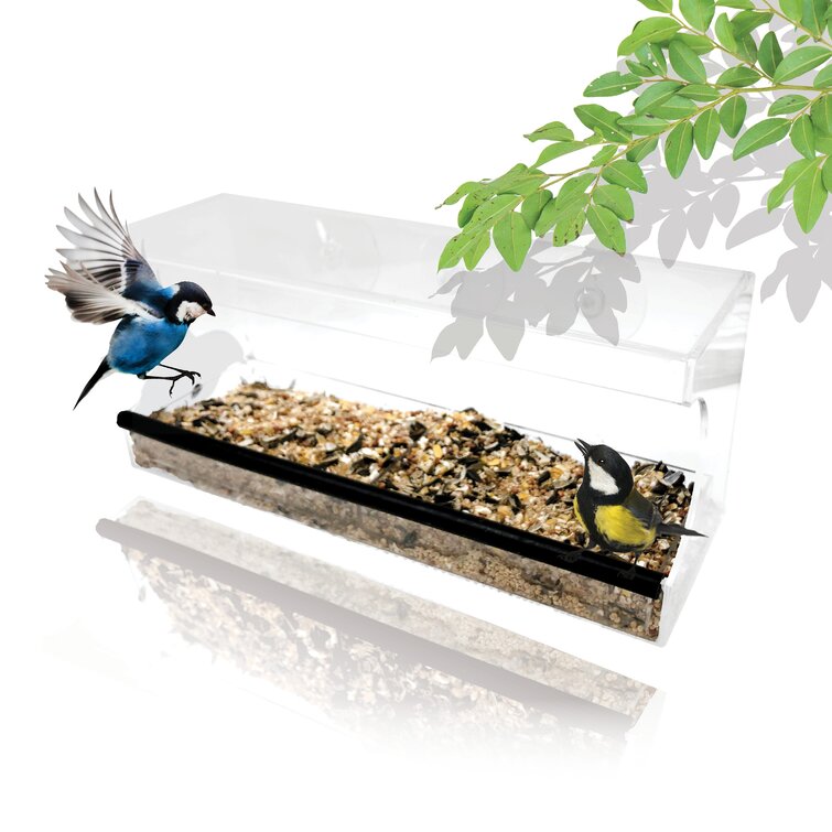 Window Bird Feeder – PAWBEE STORE