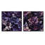 Galice - Ensemble de 2 collages carrés botaniques abstraits-101859451-101859456