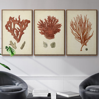Ensemble de 3 pièces encadrées sur toile Shell Collection IV