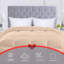 All Season 250 GSM Comforter - Soft Down Alternative Comforter - Plush Siliconized Fiberfill Duvet Insert - Box Stitched (Twin/Twin XL, Plum)-983168783-983168771