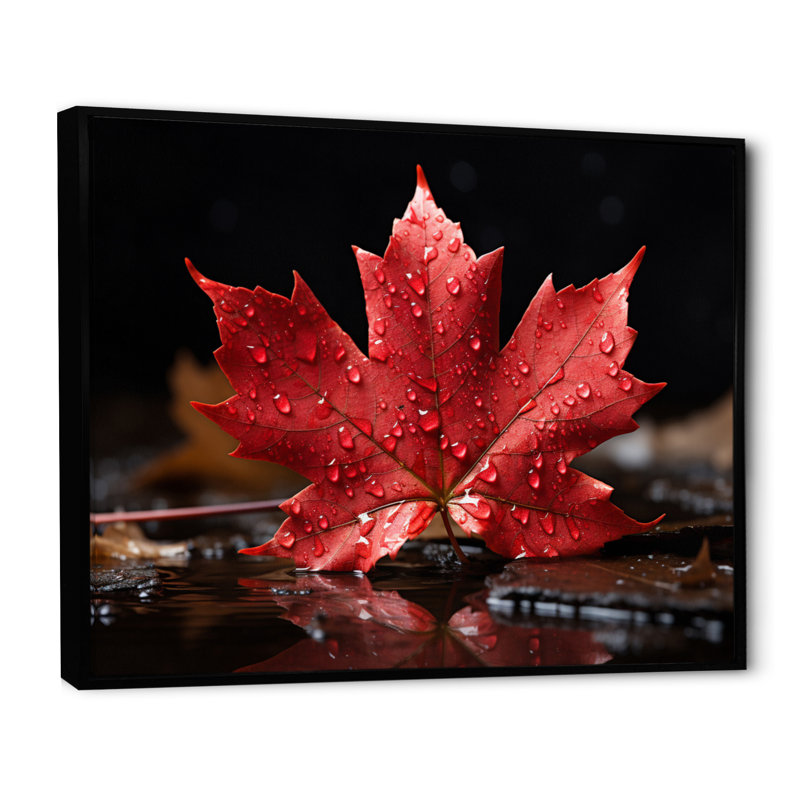 Canada Canada Pride III, H 12 po x l 20 po x P 1 po, Noir
