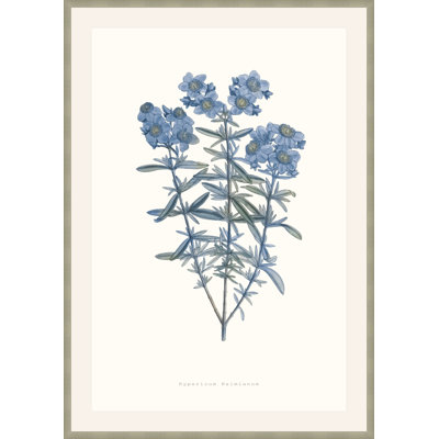 Bouquet Blue 3 Framed Print