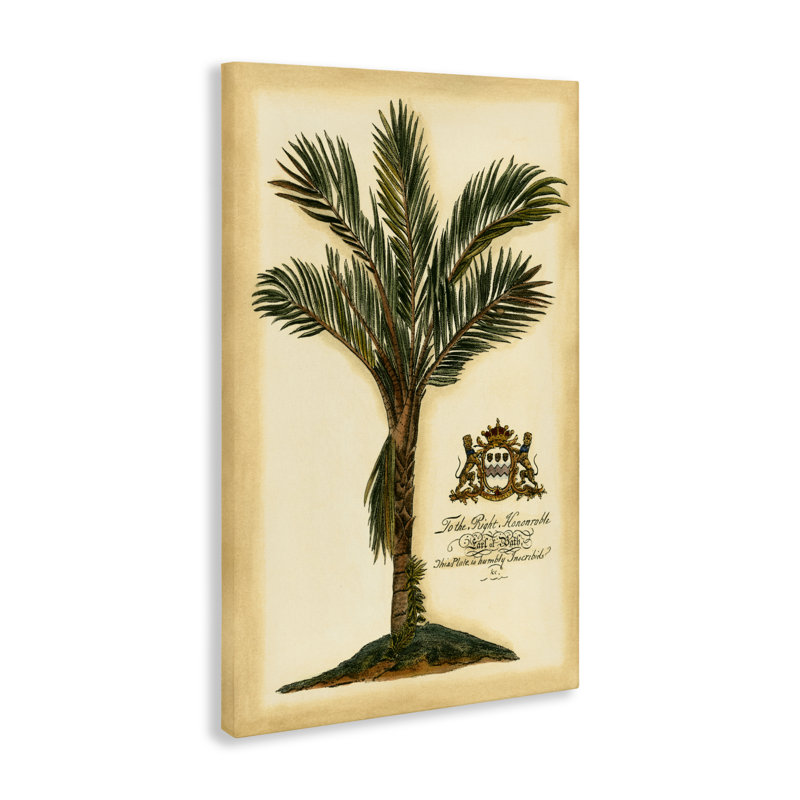 Toile de palmier colonial rétro, design par Vision Studio, H 24 po x l 16 po