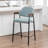 Devane Upholstered Counter Stool With Armrest-123161724